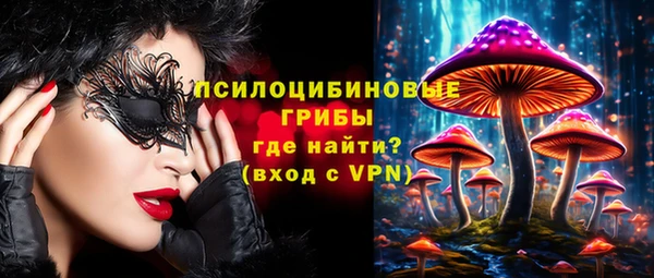 метадон Вяземский